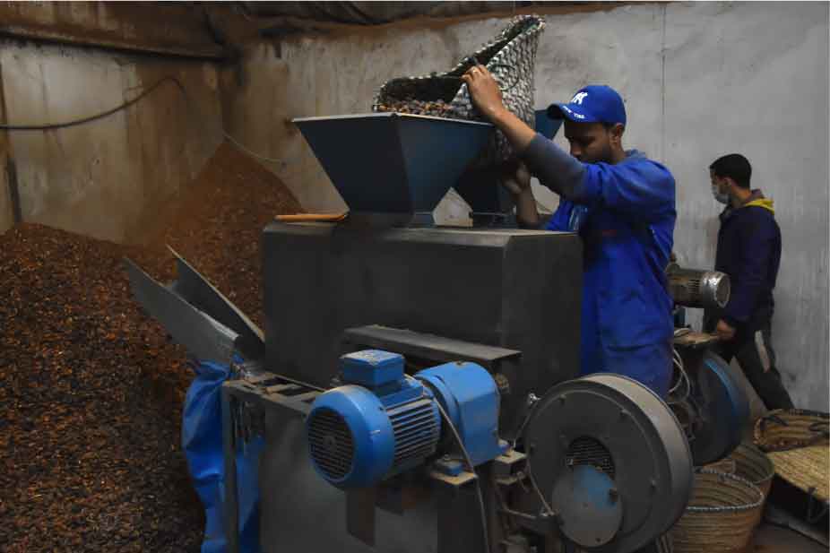 Argan Oil Process Image