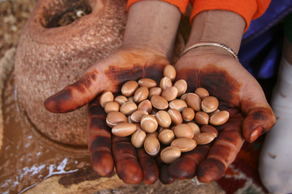 argan seeds