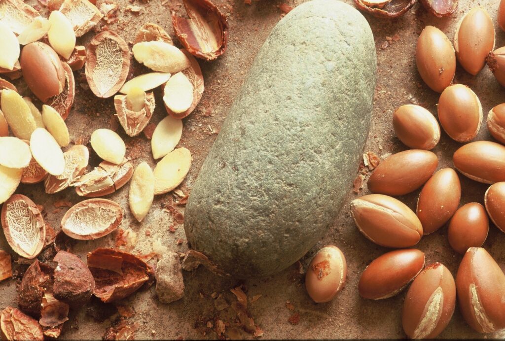 argan kernels separation