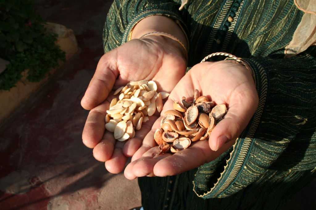 argan seed