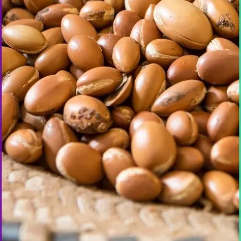 The top beauty brands using argan oil & what We can learn from them