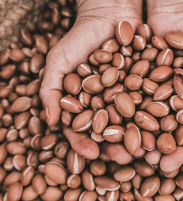 The top 5 countries leading the Argan Oil market
